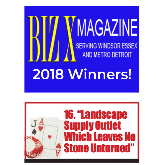 2018 Biz X Award Winners