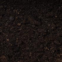 Daniher Topsoil - Topsoil