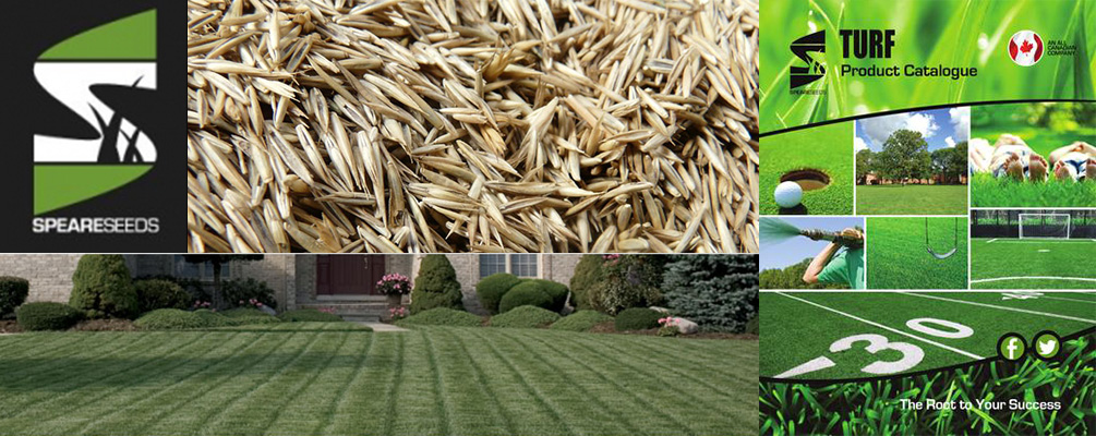 Daniher Topsoil carries a selection of Speare Seeds