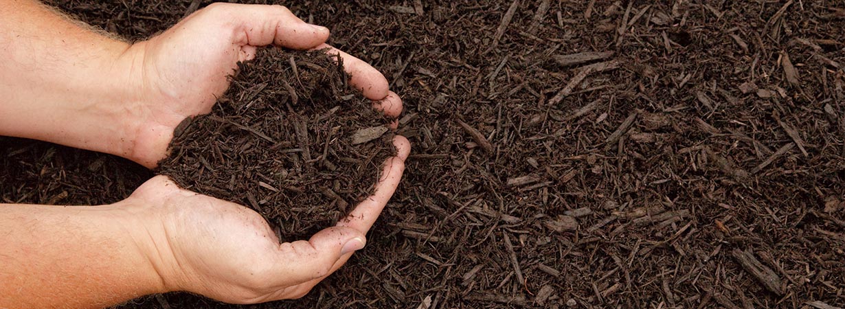 Daniher Topsoil - Mulch